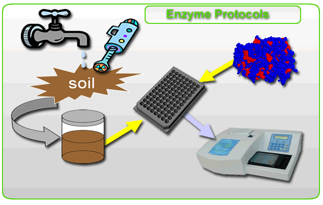 Enzyeme Protocols Flowsheet